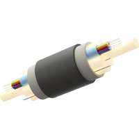 Câble Fibre Optique Enbeam OS2 G.657.A1 Tube Lâche Multi 12 Brins 9/125 HDPE Fca Noir