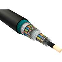 Excel Enbeam OS2 Singlemode CST Armoured Fibre Optic Cable Loose Tube 288 Core 9/125 HDPE Fca Black
