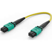 Elevate Base8 OS2 8 Fibre MPO Male Trunk Cable Method B B2ca 30 m