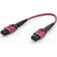 Elevate Base12 OM4 144 Fibre MPO Male Trunk Cable Method B B2ca 30 m