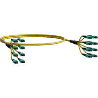 Elevate Base12 OS2 96 Fibre MPO Female to MPO Male Method B B2ca 30 m