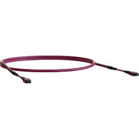 Elevate Base12 OM4 12 Fibre MPO Female to MPO Male Method B B2ca 30 m