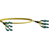 Elevate Base8 OS2 48 Fibre MPO Female to MPO Male Method B B2ca 30 m