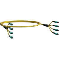 Elevate Base8 OS2 32 Fibre MPO Female to MPO Male Method B B2ca 30 m