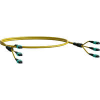 Elevate Base8 OS2 24 Fibre MPO Female to MPO Male Method B B2ca 30 m