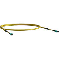 Elevate Base8 OS2 8 Fibre MPO Female to MPO Male Method B B2ca 30 m