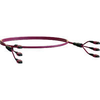 Elevate Base8 OM4 24 Fibre MPO Female to MPO Male Method B B2ca 30 m